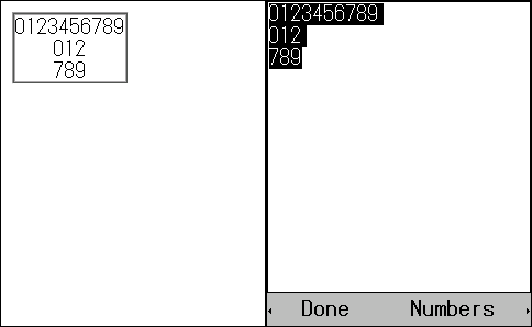 Execution Result(Standard Input Mode)