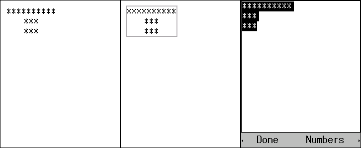 Execution Result(Password Input Mode)