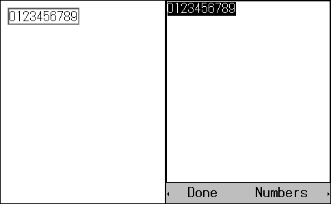 Execution Result(Standard Input Mode)