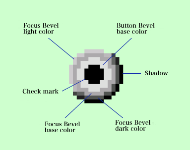 
Expanded figure of the radio button[In the focused state, when not pressed]
